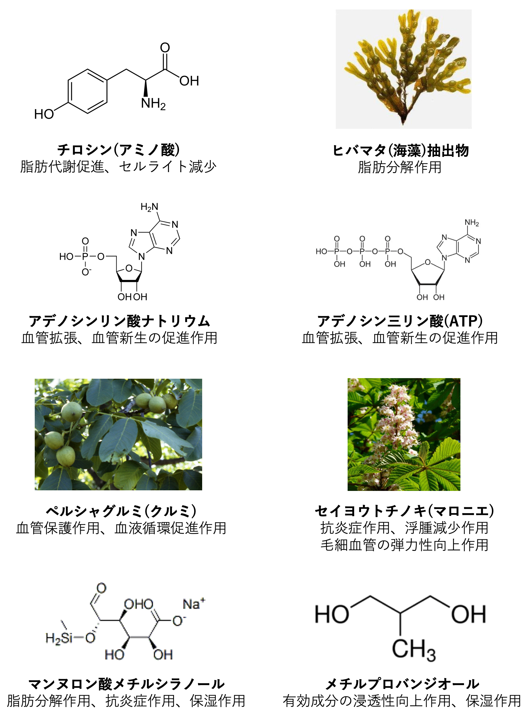 その他の有効成分