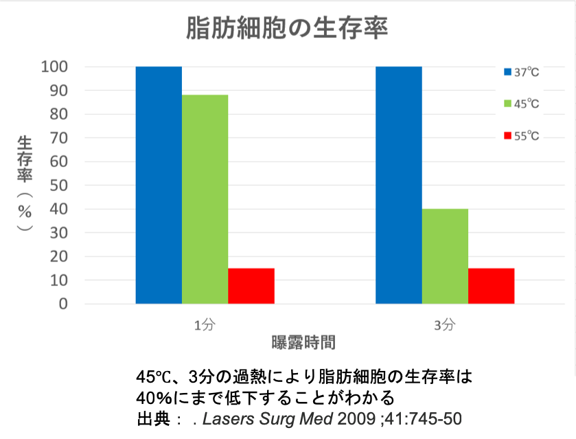 脂肪細胞の生存率