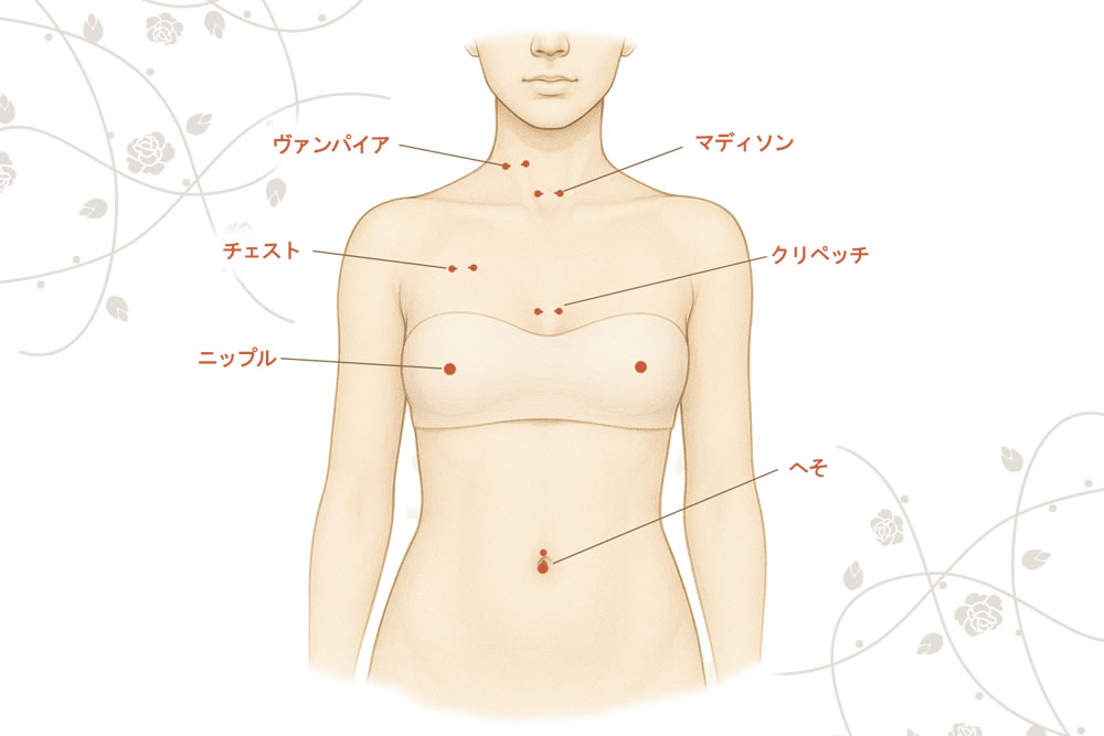 体のピアス位置の図解