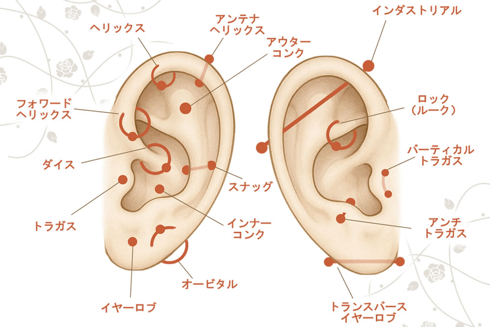 耳のピアス位置の図解
